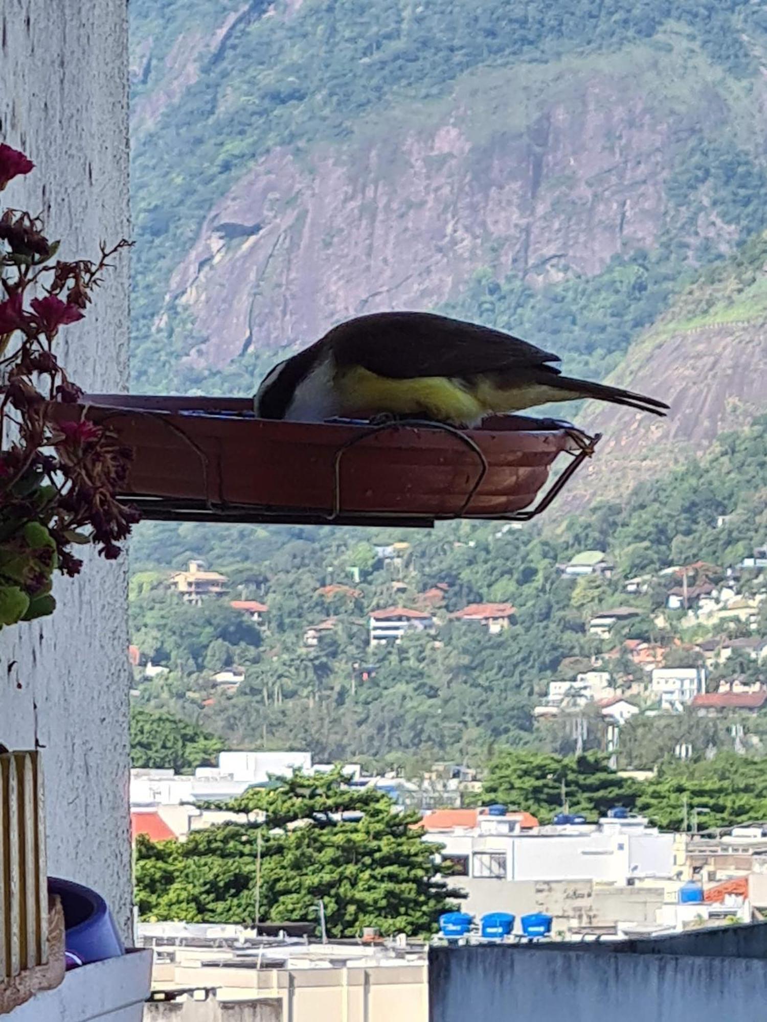 Apto Barra Da Tijuca Frente Pro Mar Рио де Жанейро Екстериор снимка